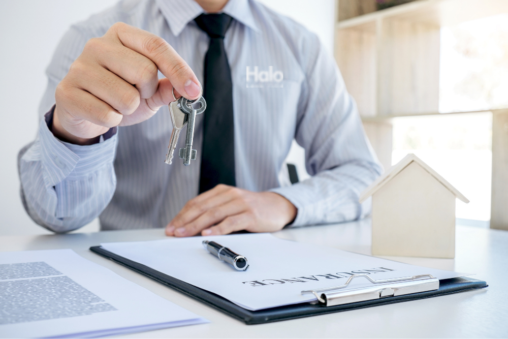 Halo Land Title - Property and Lien Search